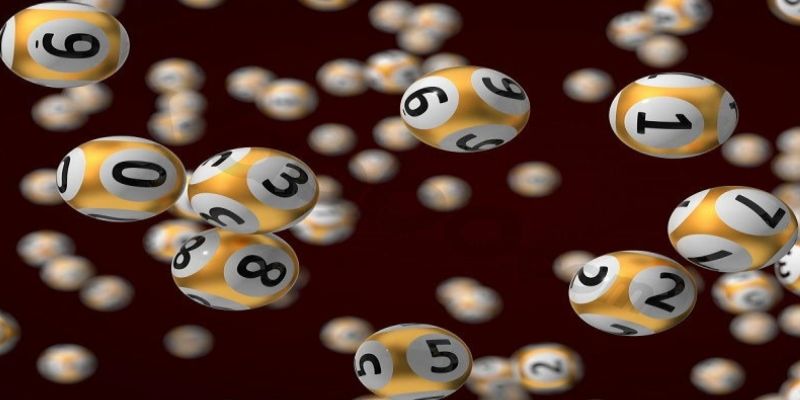 Hướng dẫn sử dụng website chính thức để tra cứu nhanh chóng